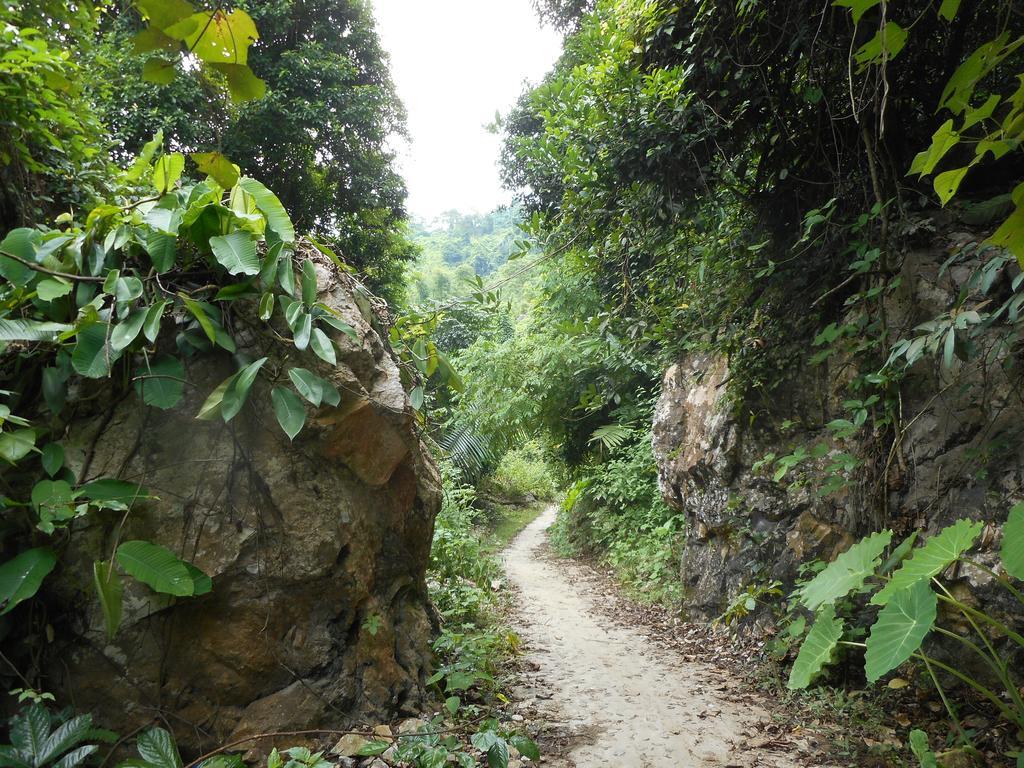 Ba Be Lake Homestay - Quynh Chi Exterior photo